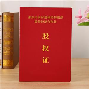 邵東股權(quán)證定制廠家