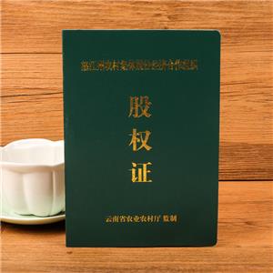 努江州股權(quán)證定做