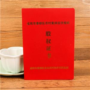 咸陽市秦都區(qū)股權(quán)證