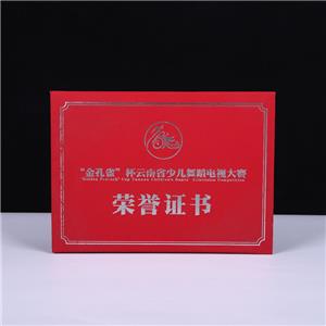 榮譽(yù)證書(shū)2